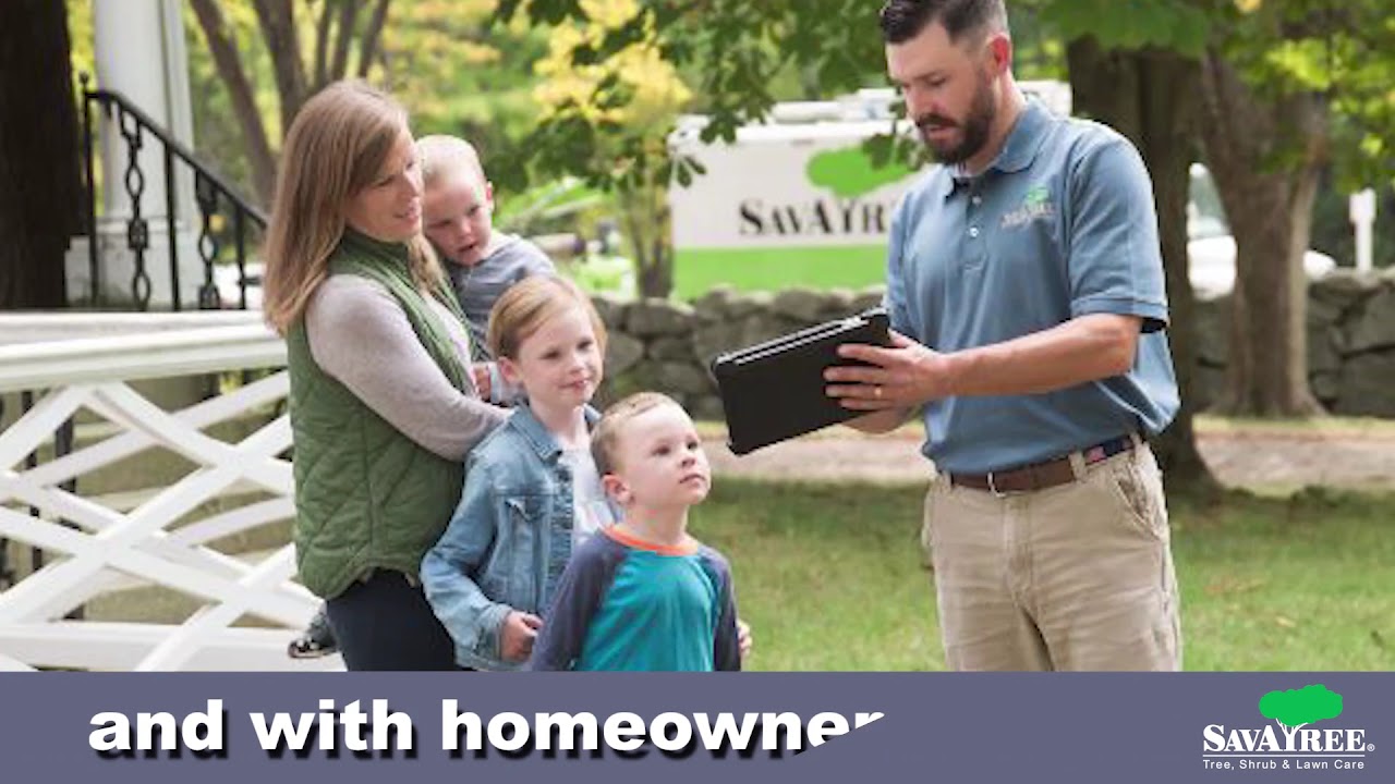 SavATree - Tree Service & Lawn Care project