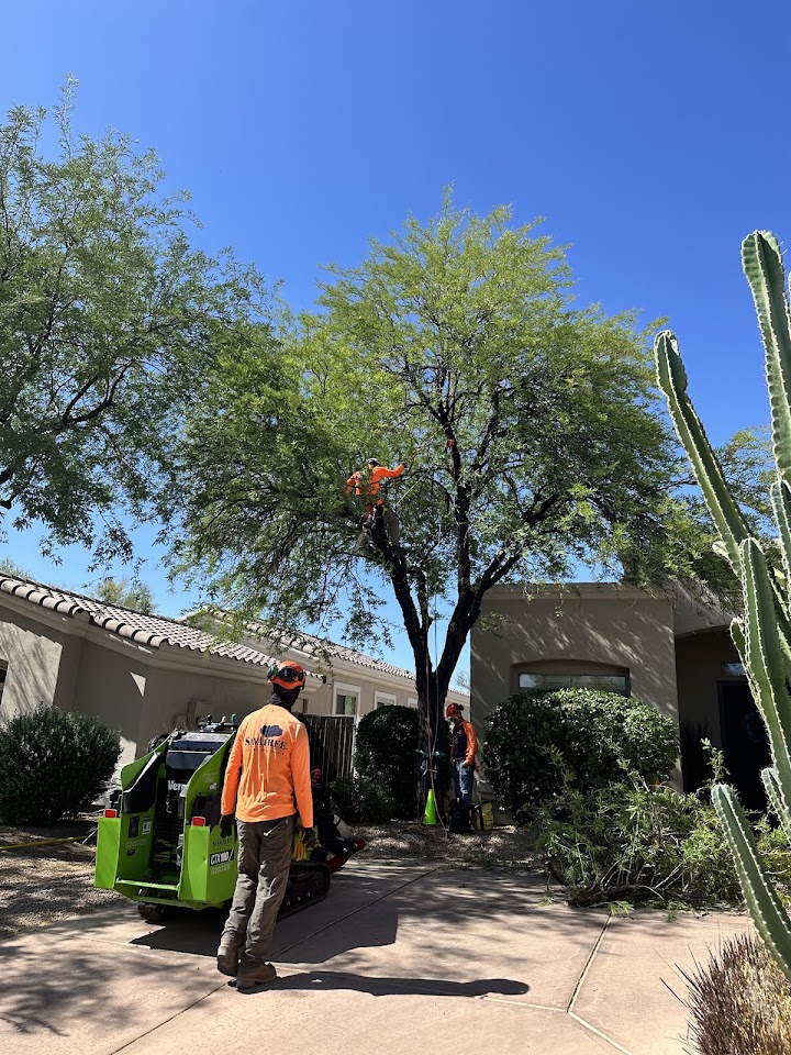 SavATree - Tree Service & Lawn Care project